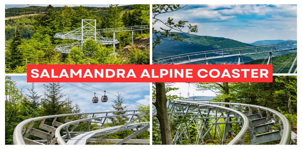 Kolaż czterech zdjęć pokazujących Salamandra Alpine Coaster – hit wakacji 2026 w Szczyrku